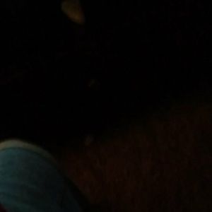 Meet your Posher, Will